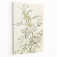 Botanical Floral Sketch Living Room Wall Art – Canvas Print
