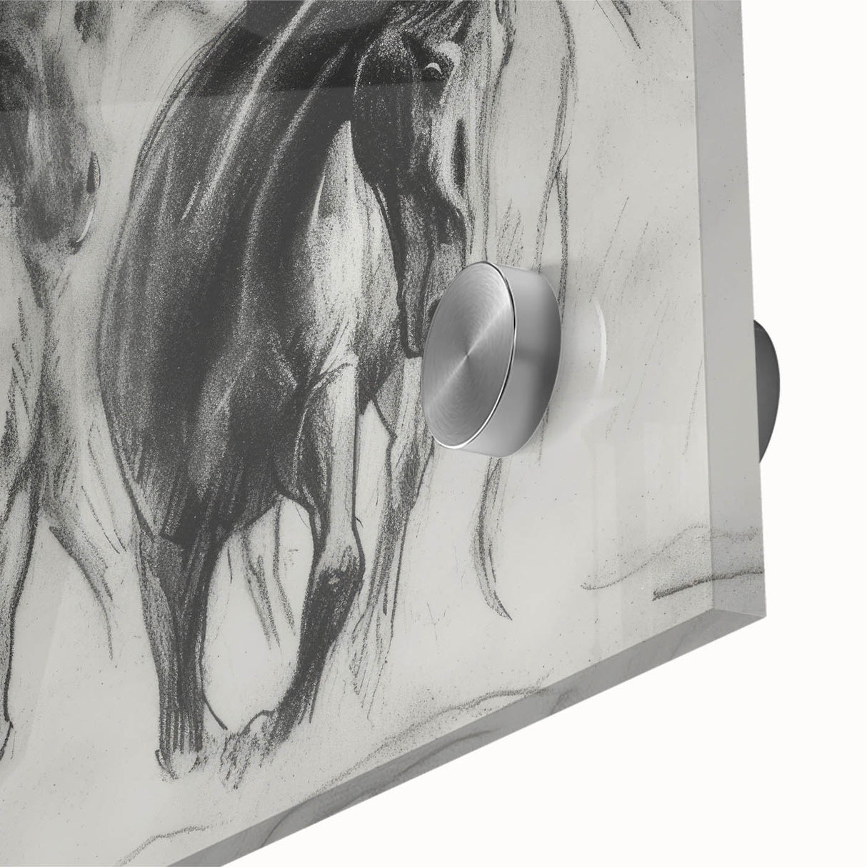 Close-up of a vibrant acrylic glass artwork showcasing a colorful animal design, perfect for modern home decor, highlighting intricate details and vivid hues.