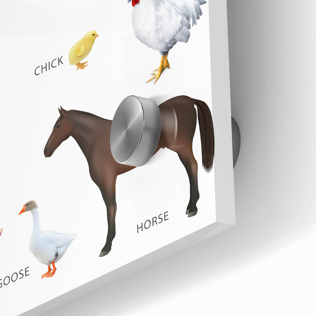 Farm Animals Kids Educational Wall Art - Learning Poster for Classrooms