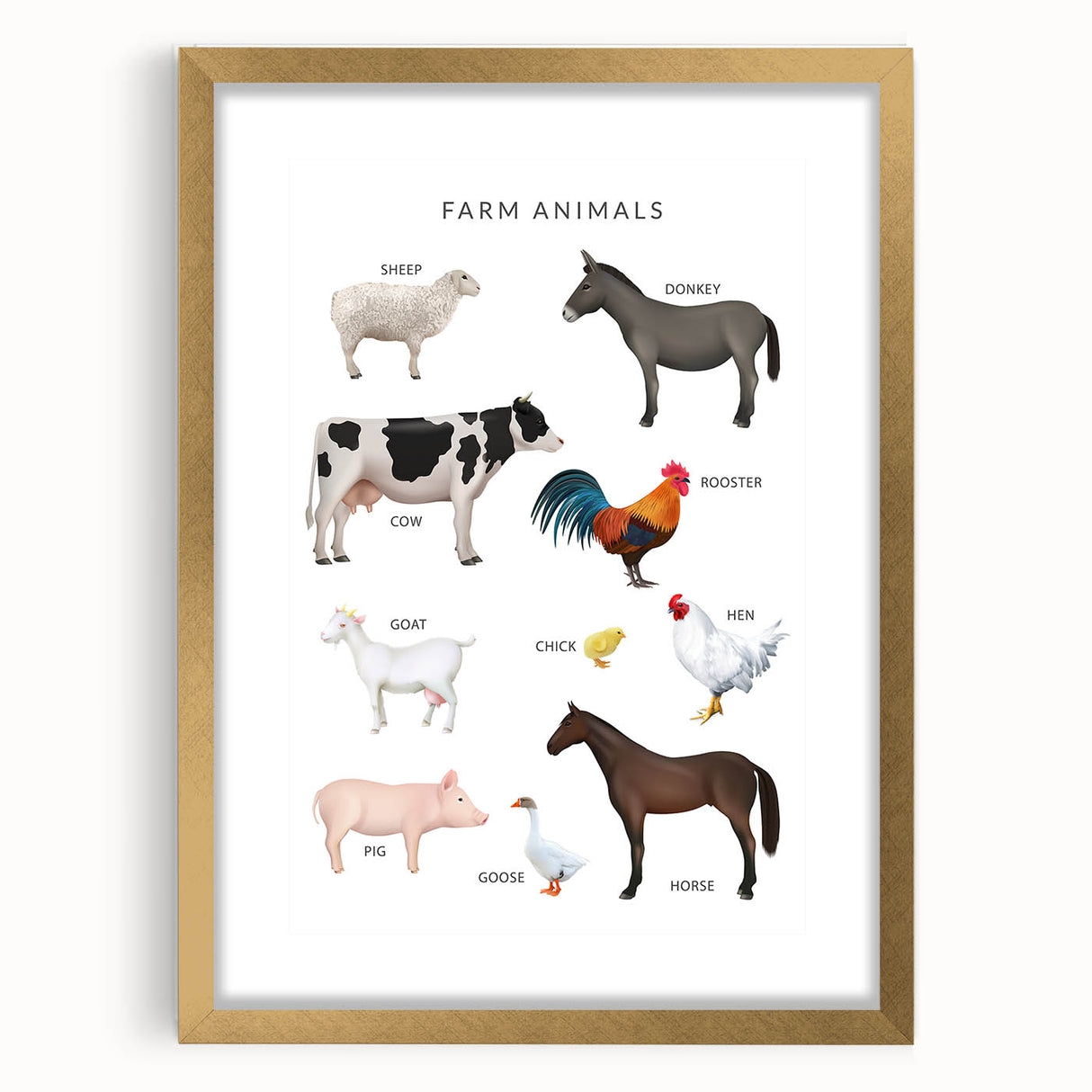 Farm Animals Kids Educational Wall Art - Learning Poster for Classrooms
