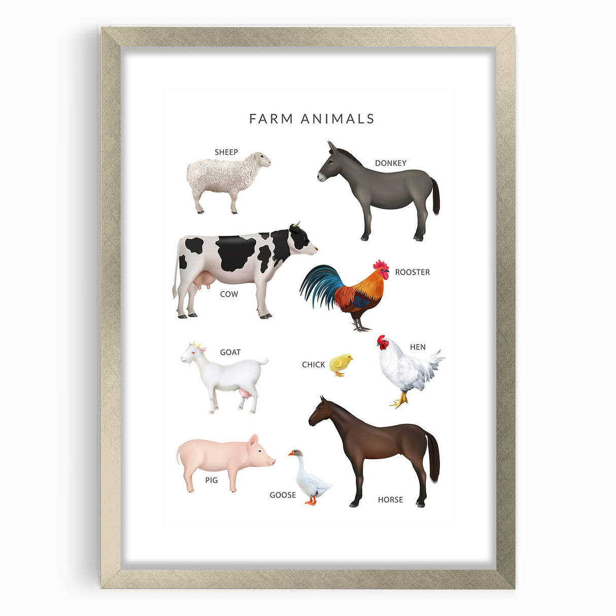 Farm Animals Kids Educational Wall Art - Learning Poster for Classrooms