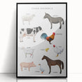 Farm Animals Kids Educational Wall Art - Learning Poster for Classrooms