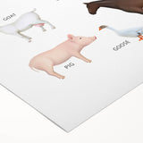 Farm Animals Kids Educational Wall Art - Learning Poster for Classrooms