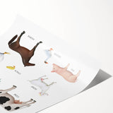 Farm Animals Kids Educational Wall Art - Learning Poster for Classrooms