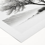 Vibrant abstract floral wall art on rolled canvas, showcasing bright colors and dynamic shapes, perfect for modern home decor and artistic expression.