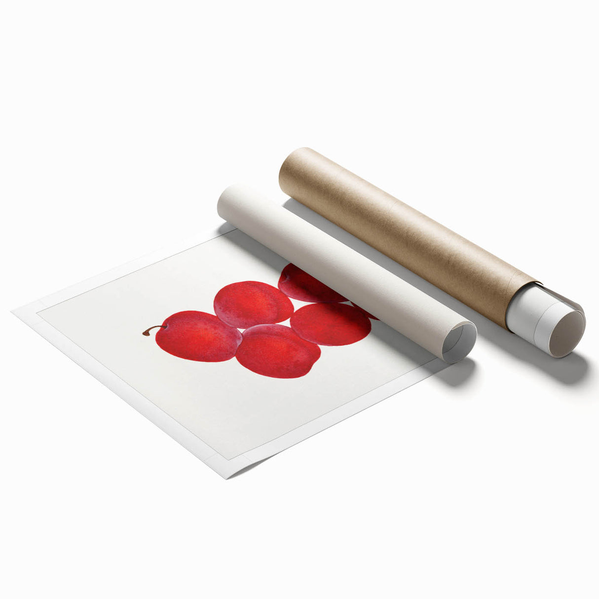 Extra large rolled print featuring an array of vibrant, colorful fruits on a white background.