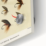 Trout Flies Illustration Print - Mary Orvis Marbury Realism Fly Fishing Art