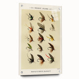 Trout Flies Illustration Print - Mary Orvis Marbury Realism Fly Fishing Art