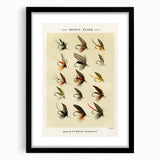 Trout Flies Illustration Print - Mary Orvis Marbury Realism Fly Fishing Art