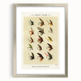 Trout Flies Illustration Print - Mary Orvis Marbury Realism Fly Fishing Art