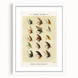 Trout Flies Illustration Print - Mary Orvis Marbury Realism Fly Fishing Art