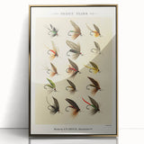 Trout Flies Illustration Print - Mary Orvis Marbury Realism Fly Fishing Art