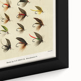 Trout Flies Illustration Print - Mary Orvis Marbury Realism Fly Fishing Art
