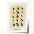 Trout Flies Illustration Print - Mary Orvis Marbury Realism Fly Fishing Art