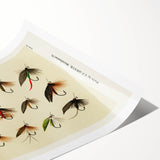 Trout Flies Illustration Print - Mary Orvis Marbury Realism Fly Fishing Art