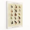 Trout Flies Illustration Print - Mary Orvis Marbury Realism Fly Fishing Art