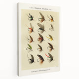 Trout Flies Illustration Print - Mary Orvis Marbury Realism Fly Fishing Art