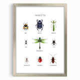Insects Kids Educational Wall Art - Learning Poster for Classrooms