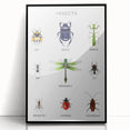 Insects Kids Educational Wall Art - Learning Poster for Classrooms
