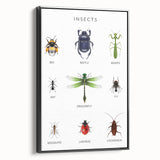 Insects Kids Educational Wall Art - Learning Poster for Classrooms