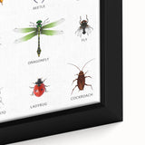 Insects Kids Educational Wall Art - Learning Poster for Classrooms