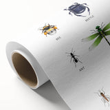 Insects Kids Educational Wall Art - Learning Poster for Classrooms