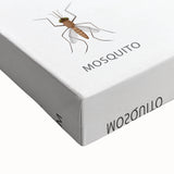 Insects Kids Educational Wall Art - Learning Poster for Classrooms