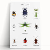 Insects Kids Educational Wall Art - Learning Poster for Classrooms
