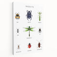 Insects Kids Educational Wall Art - Learning Poster for Classrooms