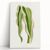 Historical Romanticism Canvas: Green Zea Japonica - Classic Art Prints