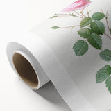 Neoclassical Crenate Cabbage Rose Print - Botanical Art by Redouté