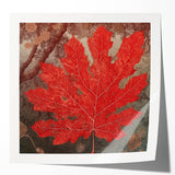 Vibrant floral wall art print featuring a mix of colorful flowers and botanical leaves, showcased in a glossy finish ideal for home decor. Perfect for enhancing living spaces with a touch of nature-inspired elegance.