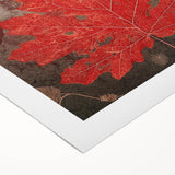 Rolled canvas featuring a vibrant floral design with intricate leaves, perfect for home decor. The artwork is colorful and showcases a modern aesthetic ideal for living spaces.