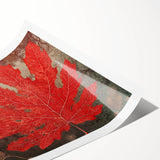 Rolled print showcasing vibrant floral and botanical wall art design, featuring intricate leaf patterns and rich colors, perfect for home decor enhancement.