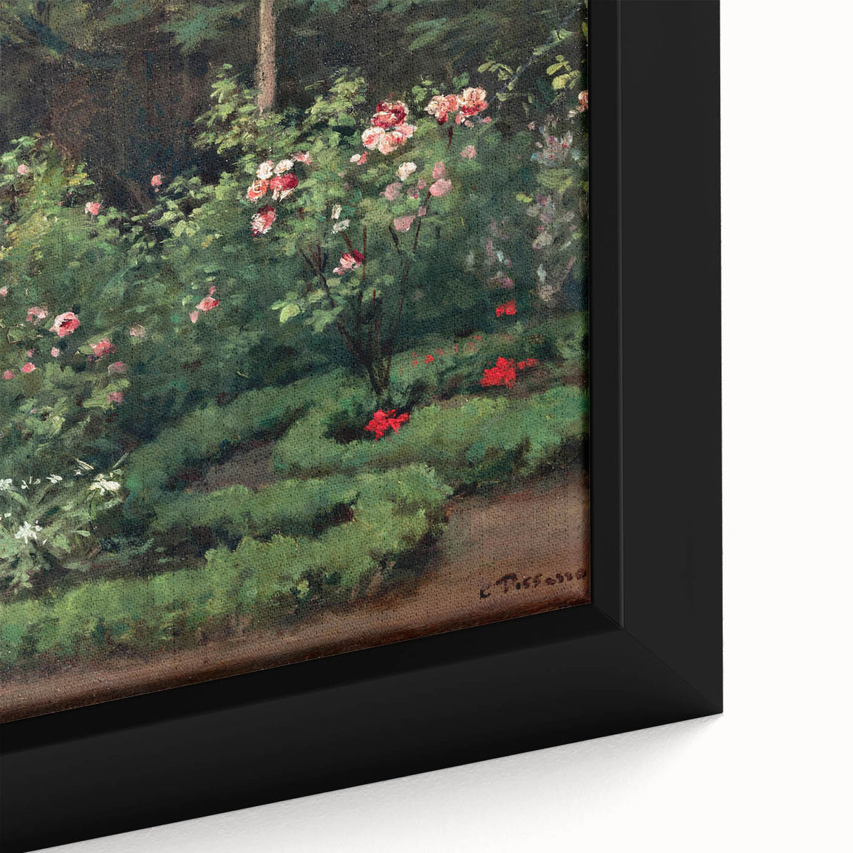 A Rose Garden - Serene Nature Scene by Camille Pissarro