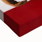 Retro Wall Art – Bruce Springsteen Born in the USA Canvas Print