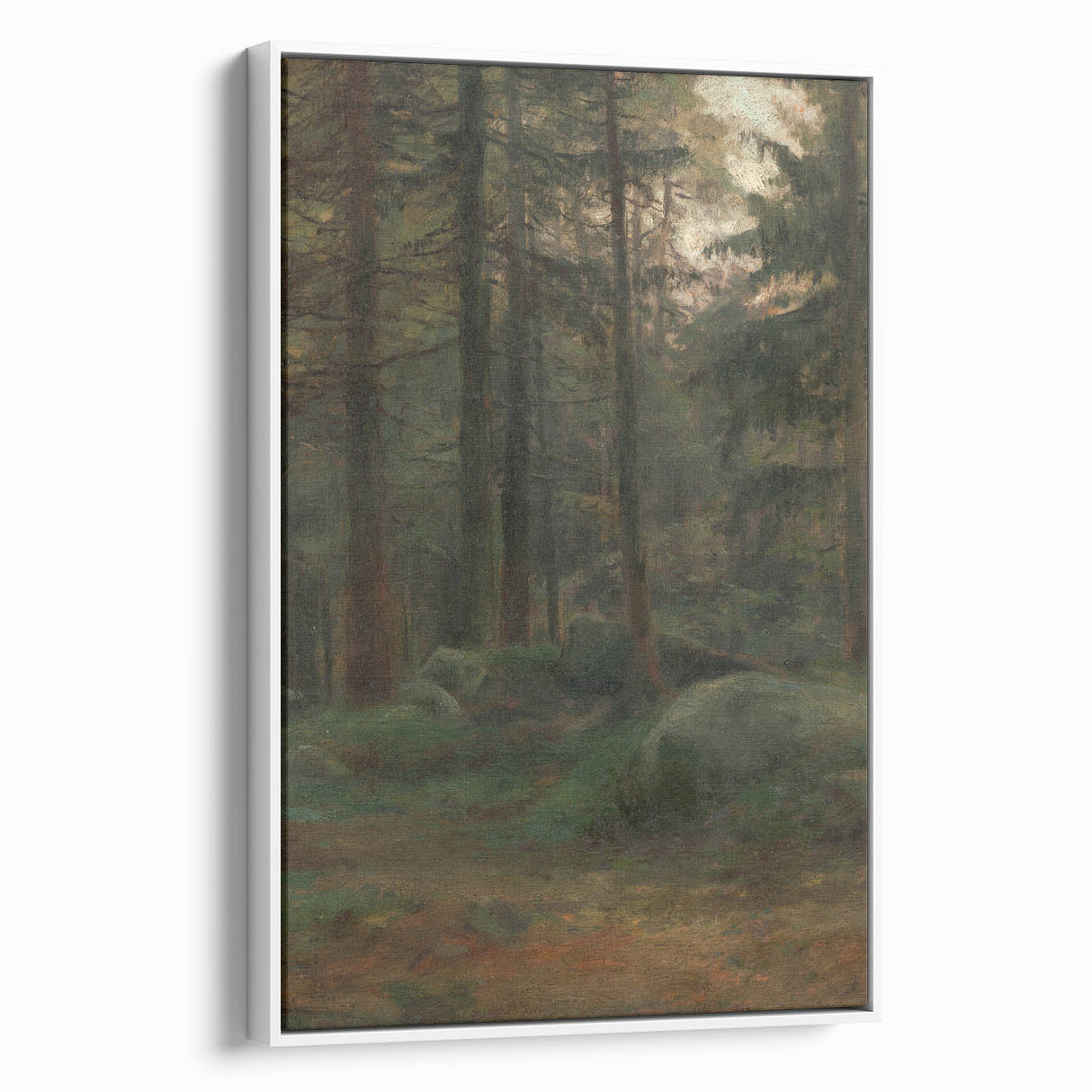 Serene Realism Art Print – Coniferous Woods with Rocks