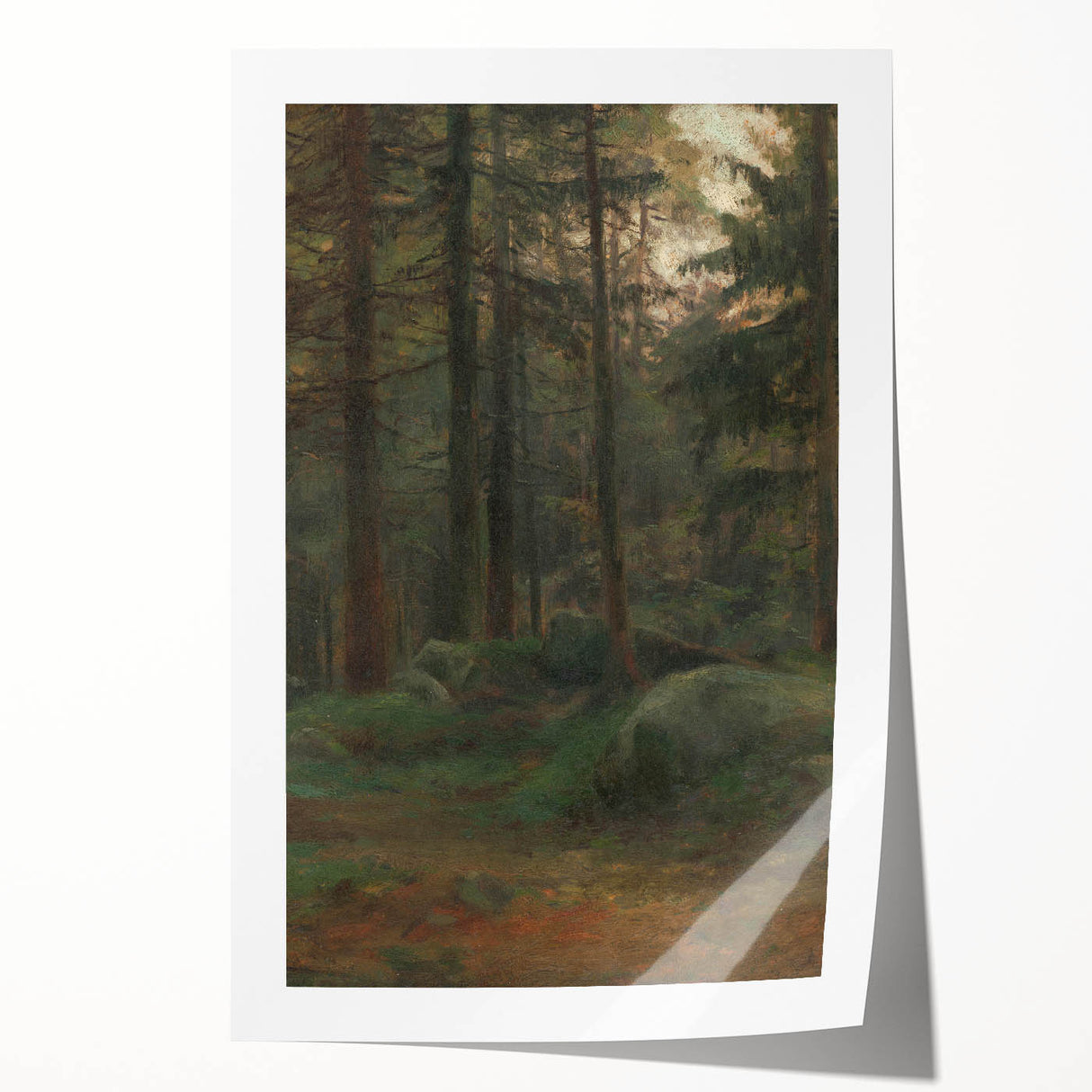 Serene Realism Art Print – Coniferous Woods with Rocks