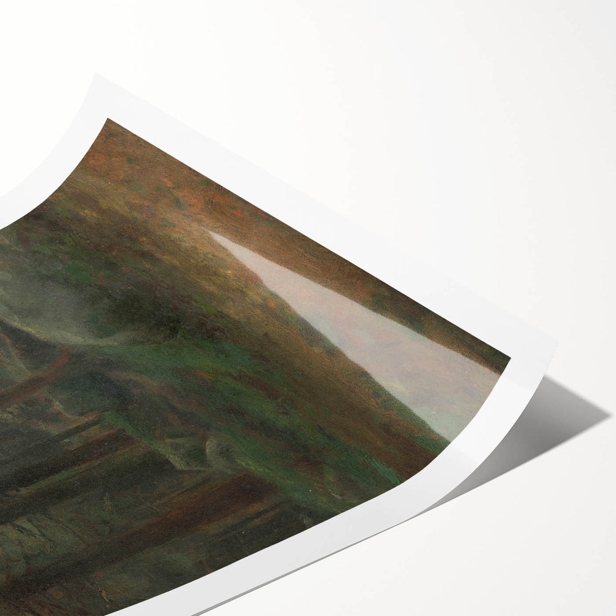 Serene Realism Art Print – Coniferous Woods with Rocks