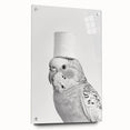 Bathroom Wall Art - Bird with Toilet Paper Hat