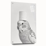 Bathroom Wall Art - Bird with Toilet Paper Hat