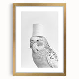 Bathroom Wall Art - Bird with Toilet Paper Hat