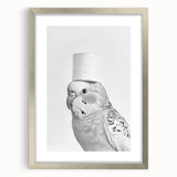 Bathroom Wall Art - Bird with Toilet Paper Hat