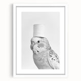 Bathroom Wall Art - Bird with Toilet Paper Hat