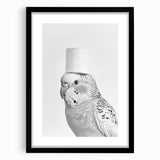 Bathroom Wall Art - Bird with Toilet Paper Hat