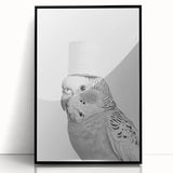 Bathroom Wall Art - Bird with Toilet Paper Hat