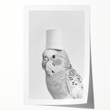 Bathroom Wall Art - Bird with Toilet Paper Hat