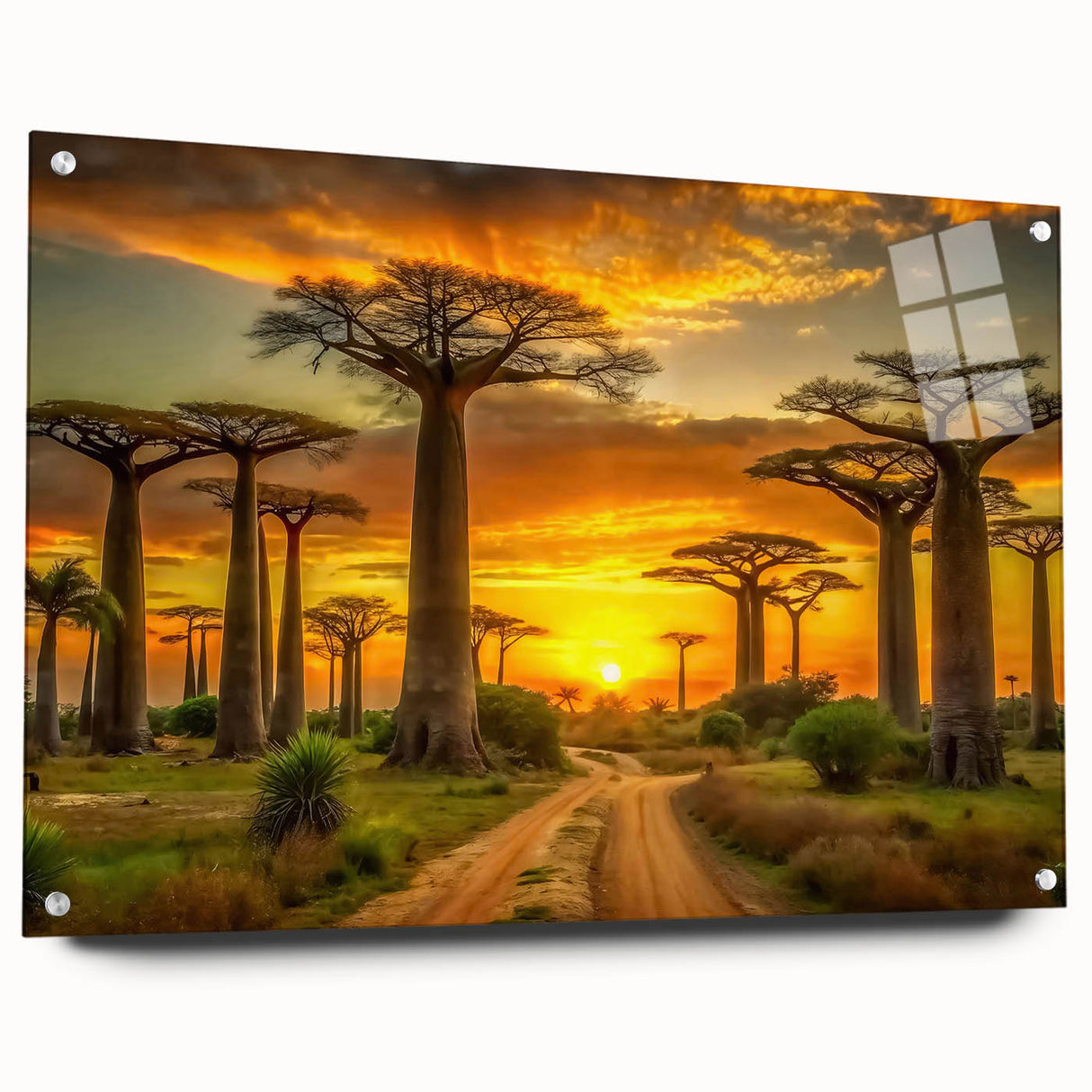Acrylic print of a Madagascar landscape in muted earth tones, ideal for dining room art.