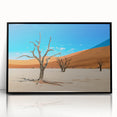 Large abstract wall art featuring a Namibian landscape in muted earth tones on a framed acrylic print.