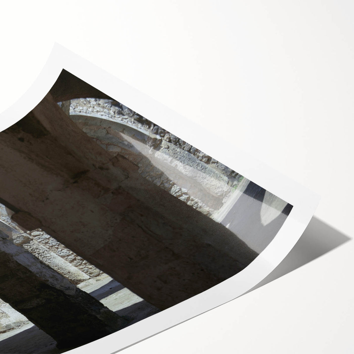 Extra large wall art featuring line art flowers in muted earth tones on a rolled canvas.
